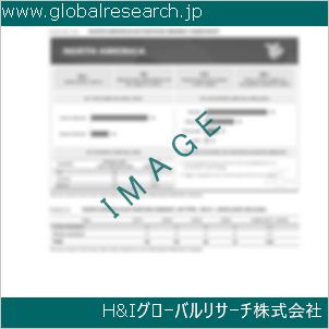 グローバルリサーチ調査資料のイメージ